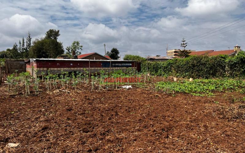 Prime Commercial Plot For Sale In Kikuyu, Zambezi.