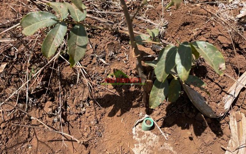 Residential Plot For Sale In Kikuyu, Kamangu Kiambu County.