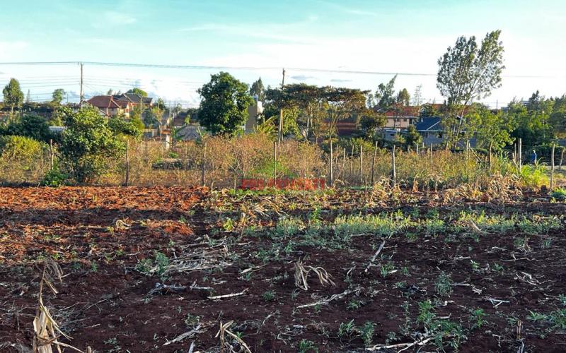 Prime Residential Plot For Sale In Kikuyu ,gikambura.