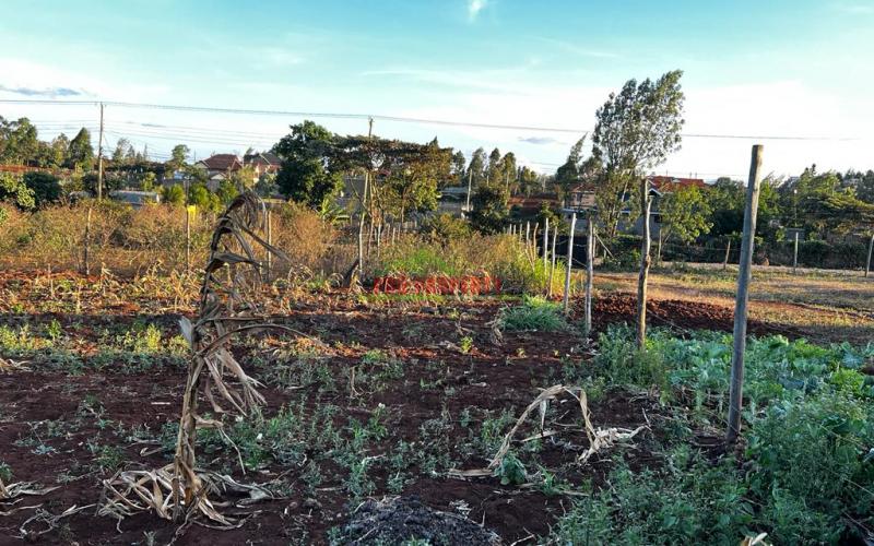 Prime Residential Plot For Sale In Kikuyu ,gikambura.