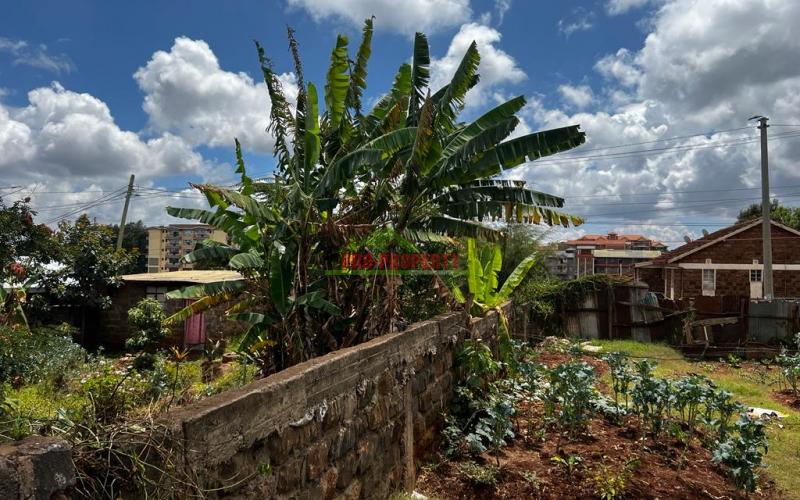 Prime 50 By 100 Fts Commercial Plot For Sale In Kinoo.