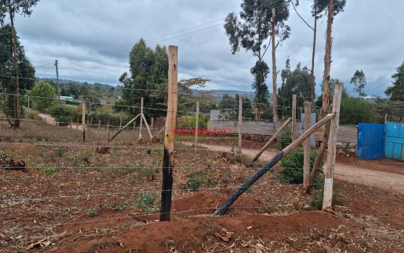 Prime Residential Plots For Sale In Kikuyu, Kamangu (migumoini)-kiambu County.