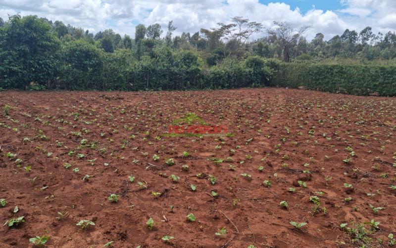 Residential Prime Plots For Sale In Gikambura.