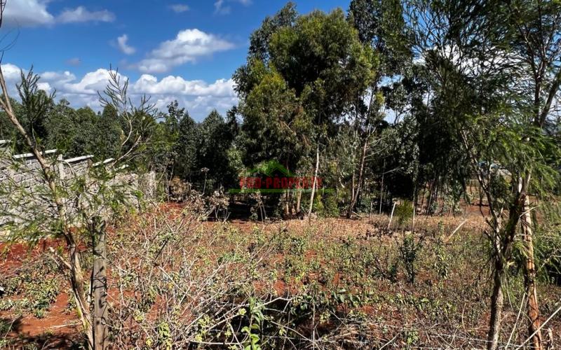 Prime Residential Plot For Sale In Kikuyu, Kamangu.