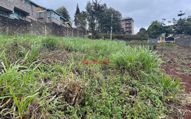 Commercial Plot For Sale In Kikuyu, Kidfarmaco.