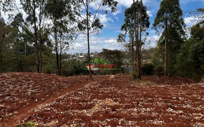 Prime Residential Plot For Sale In Kikuyu , Gikambura.