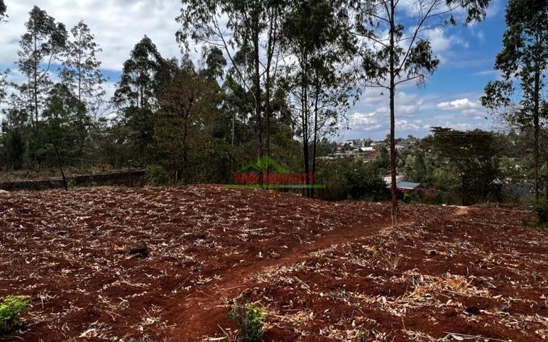 Prime Residential Plot For Sale In Kikuyu , Gikambura.