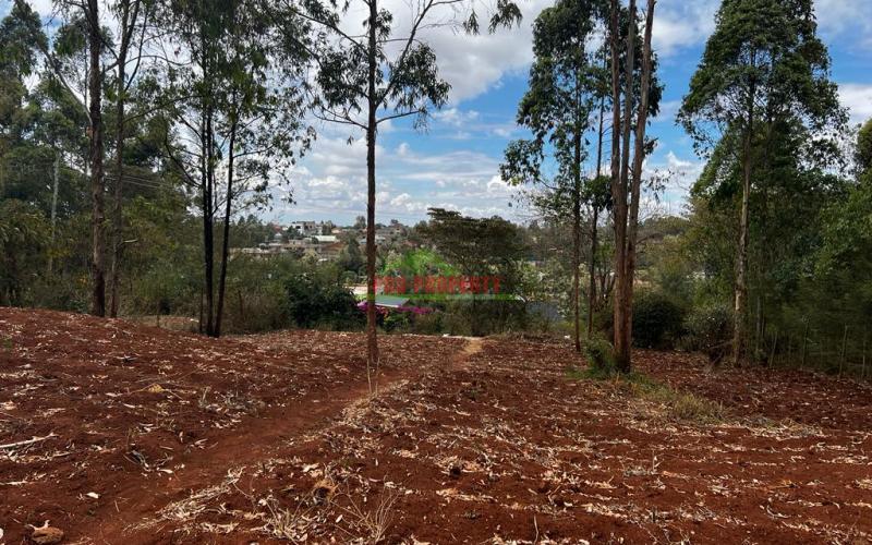 Prime Residential Plot For Sale In Kikuyu , Gikambura.