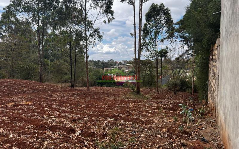 Prime Residential Plot For Sale In Kikuyu , Gikambura.