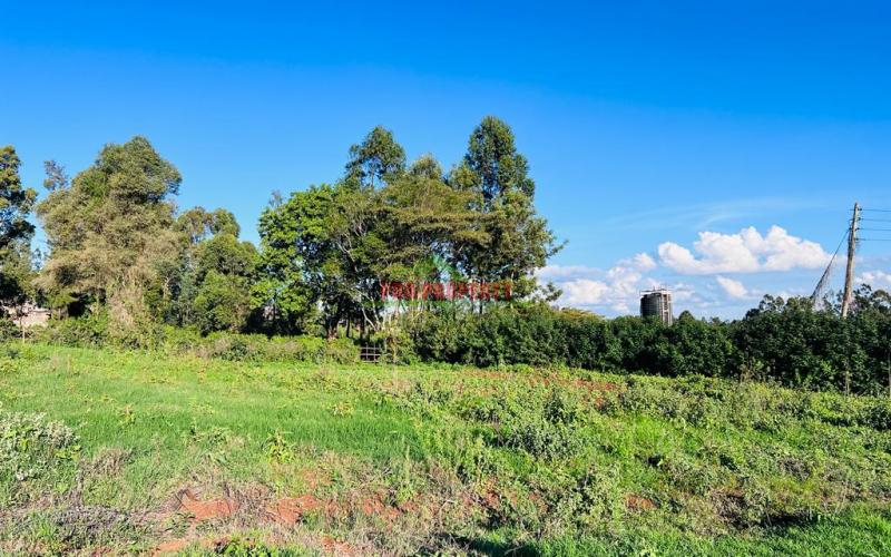 Prime Residential Plot For Sale In Kikuyu, Ondiri.