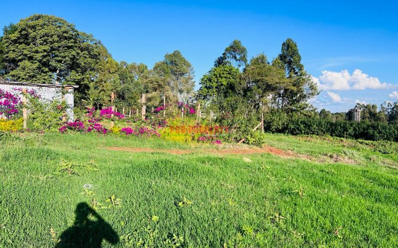 Prime Residential Plot For Sale In Kikuyu, Ondiri.