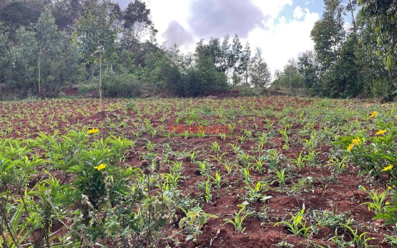 Residential Plots For Sale In Kikuyu Gikambura At The Southern Bypass.