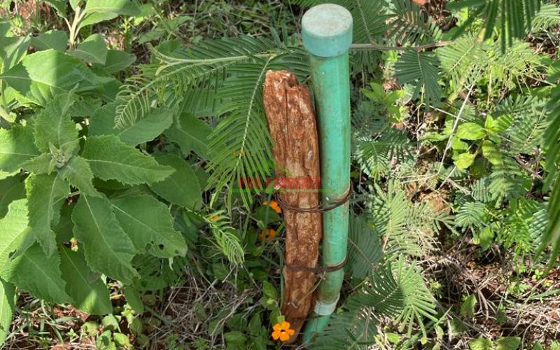 Plains View Estate Phase One In Kikuyu, Gikambura.