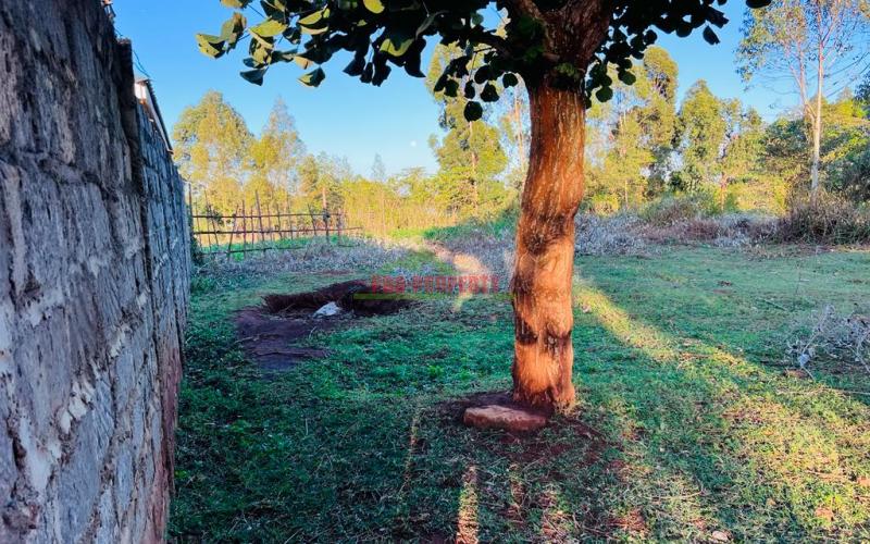 Prime Plot For Sale In Kikuyu.