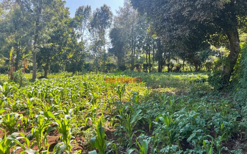 Prime Commercial Plot For Sale In Kikuyu, Thogoto Near The Southern Bypass.
