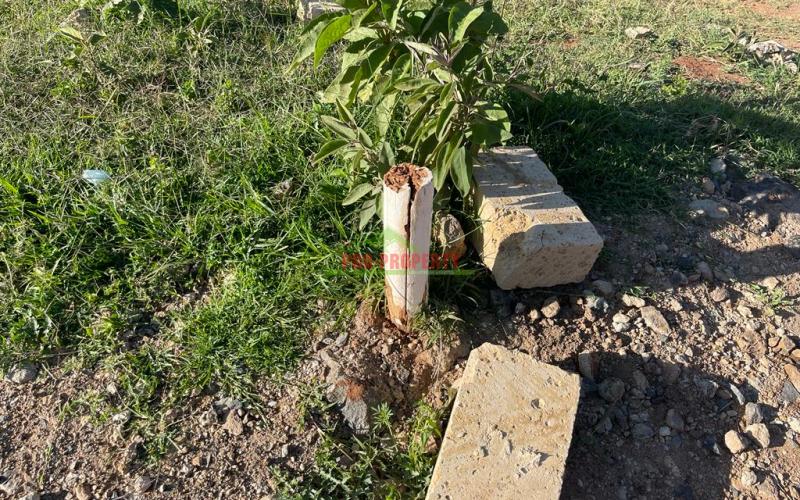 Serviced Plots For Sale In A Controlled Gated Estate In Kikuyu Ondiri -kiambu County