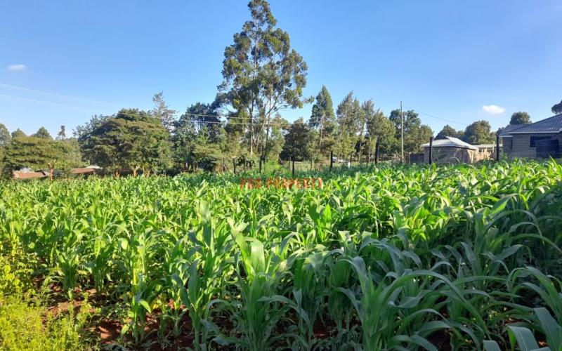 Commercial Plot For Sale In Kikuyu, Thogoto.