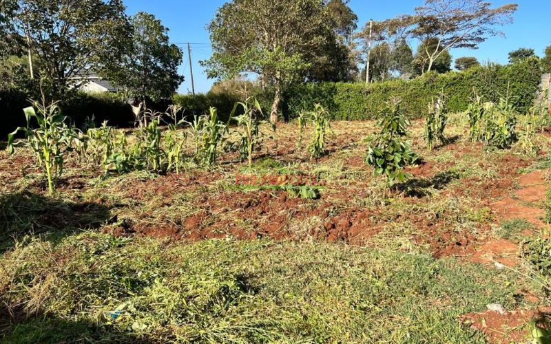 Prime Residential Plots For Sale In Kikuyu, Gikambura.