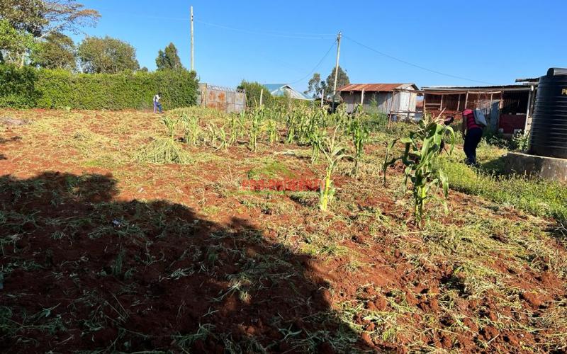 Prime Residential Plots For Sale In Kikuyu, Gikambura.