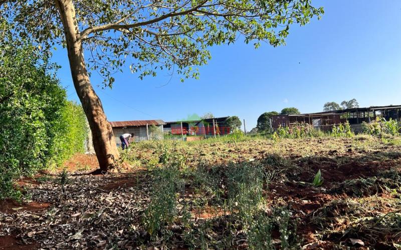 Prime Residential Plots For Sale In Kikuyu, Gikambura.