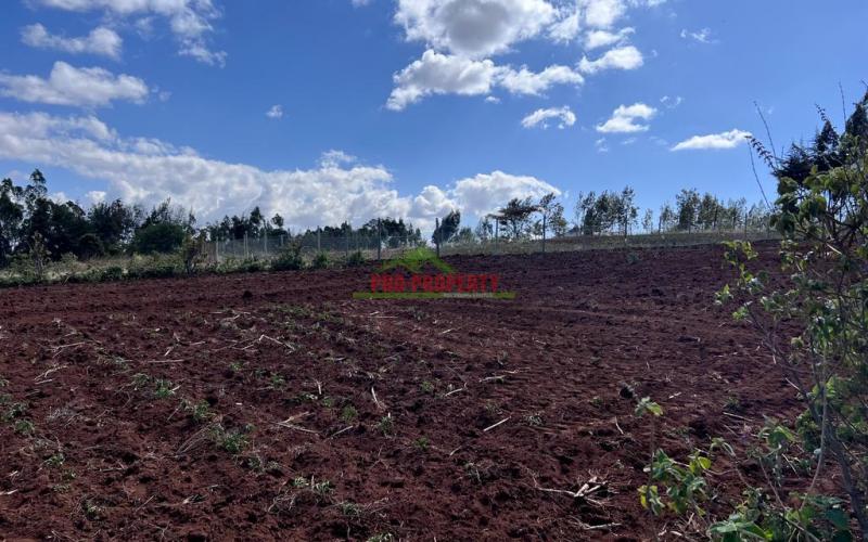 Prime Residential Plot For Sale In Kikuyu, Kamangu.