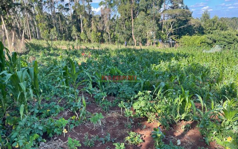 Prime Commercial Plot For Sale In Kikuyu, Sigona Along Waiyaki Way.