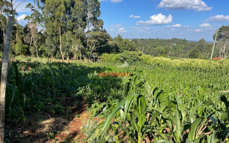 Prime Commercial Plot For Sale In Kikuyu, Sigona Along Waiyaki Way.