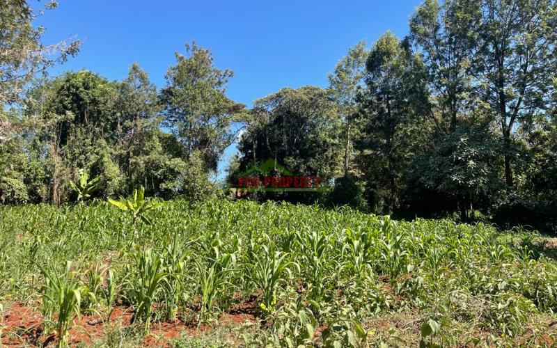 Prime Commercial Plot For Sale In Kikuyu, Thogoto Near The Southern Bypass.