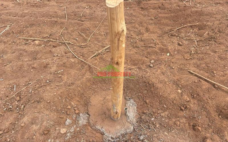 Affordable Residential Plots For Sale In Kikuyu, Gikambura Kiambu County In A Gated Community Concept.