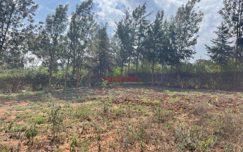 Affordable Residential Plots For Sale In Kikuyu, Karai Migumoini Area.