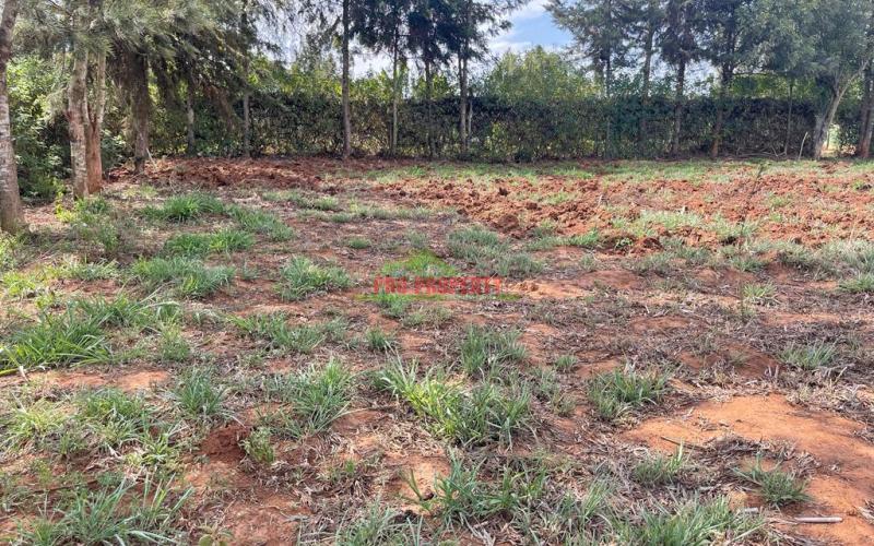 Affordable Residential Plots For Sale In Kikuyu, Karai Migumoini Area.
