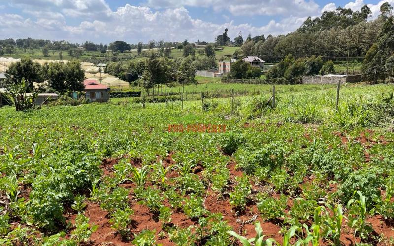 Prime Residential Plot For Sale In Kikuyu, Ondiri.