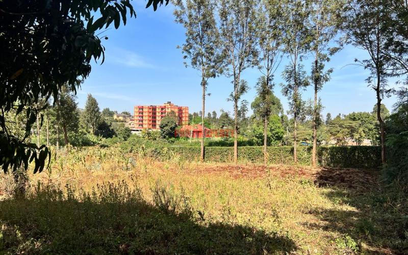 Prime 50 By 100fts Plot For Sale In Kikuyu, Thogoto.