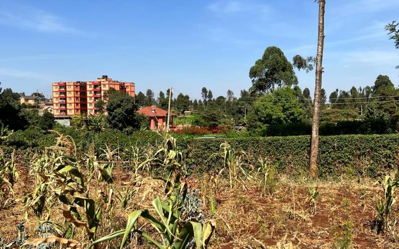 Prime 50 By 100fts Plot For Sale In Kikuyu, Thogoto.