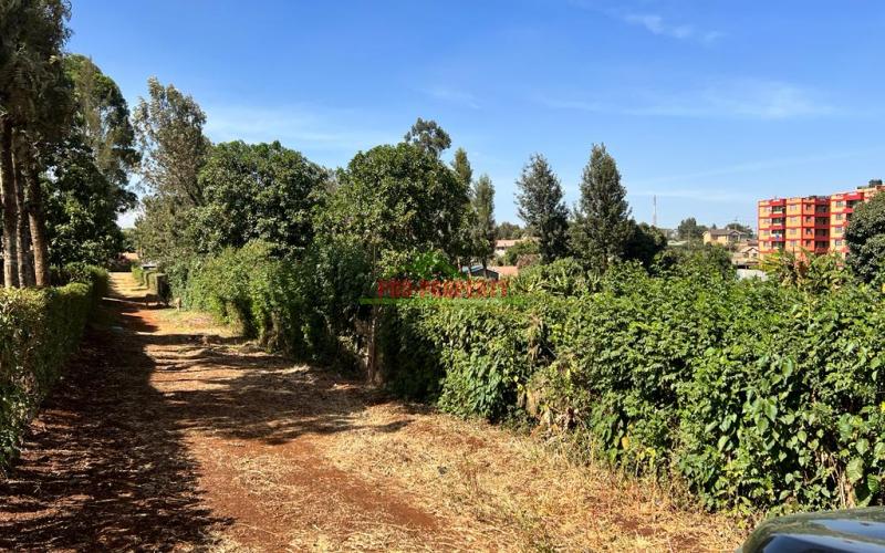 Prime 50 By 100fts Plot For Sale In Kikuyu, Thogoto.