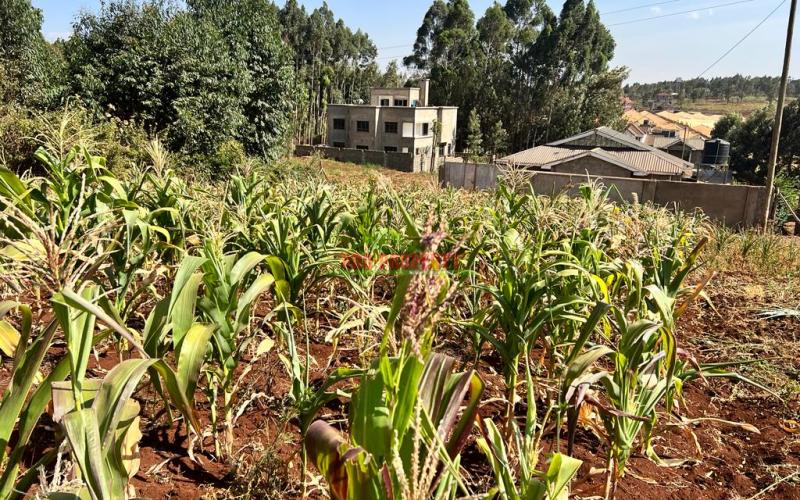 100 X 100ft Plot For Sale In Kikuyu, Ondiri.