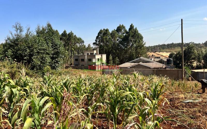 100 X 100ft Plot For Sale In Kikuyu, Ondiri.