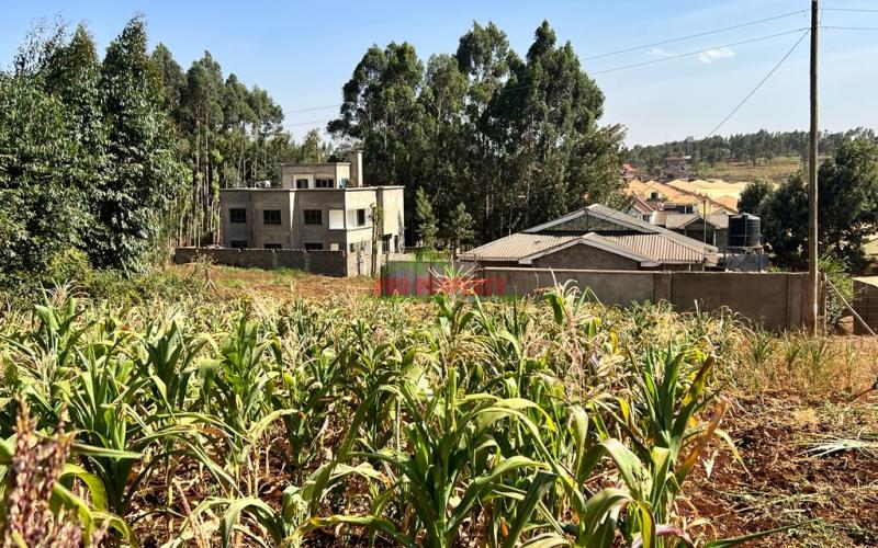 100 X 100ft Plot For Sale In Kikuyu, Ondiri.