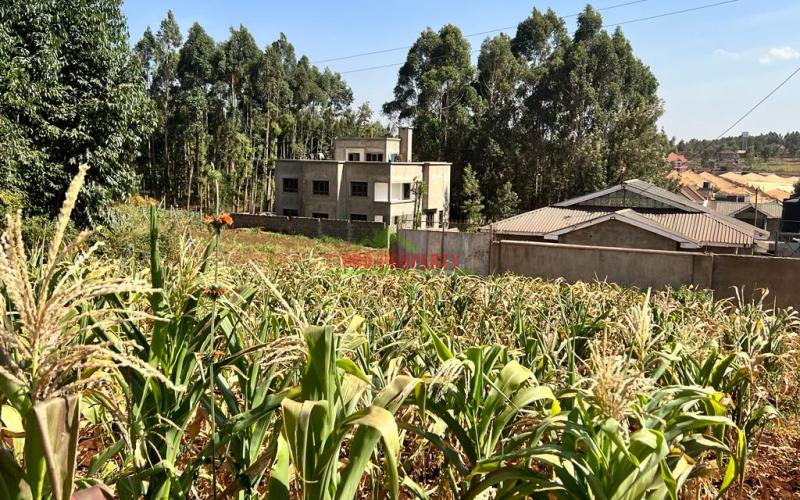 100 X 100ft Plot For Sale In Kikuyu, Ondiri.