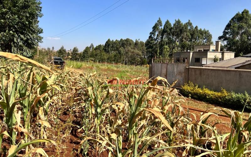 100 X 100ft Plot For Sale In Kikuyu, Ondiri.