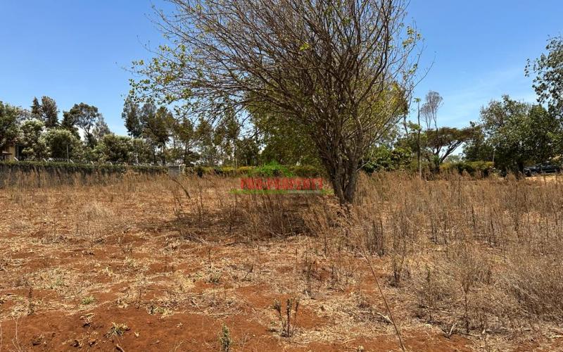 Prime Half Acre Land For Sale In Kikuyu, Ondiri-kiambu.