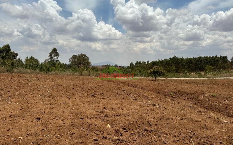 Residential Half Acre Land For Sale In Kikuyu, Kamangu.