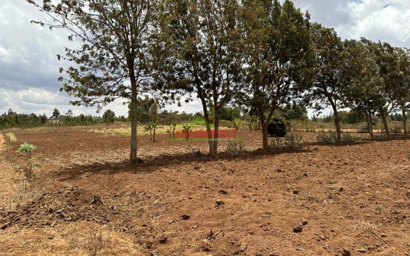 Residential Half Acre Land For Sale In Kikuyu, Kamangu.