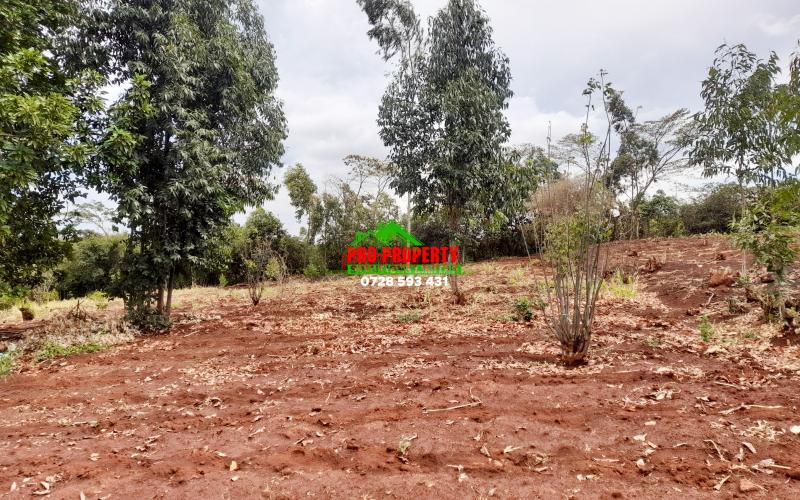 1/8 Of An Acre For Sale In Gikambura.