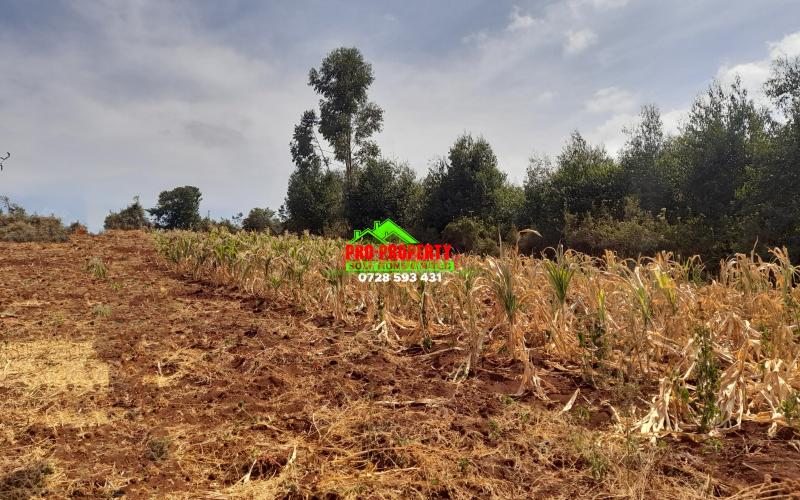 Residential Land For Sale In Ondiri, Kikuyu.