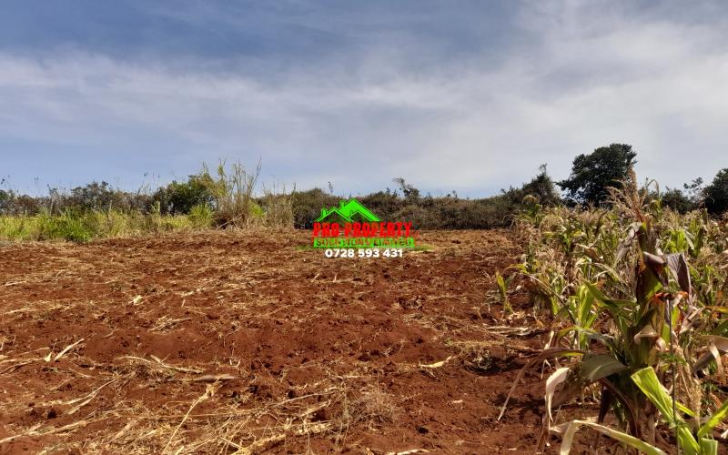 Residential Land For Sale In Ondiri, Kikuyu.