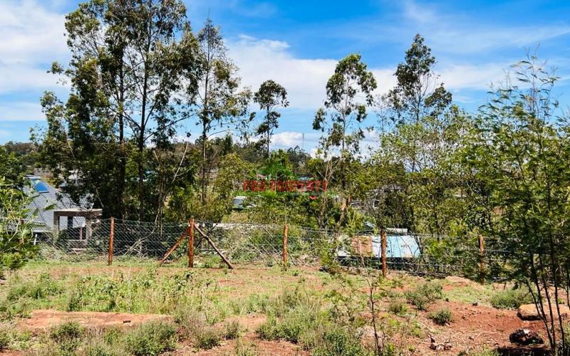 50 X 100fts Plots For Sale In Kikuyu, Gikambura.