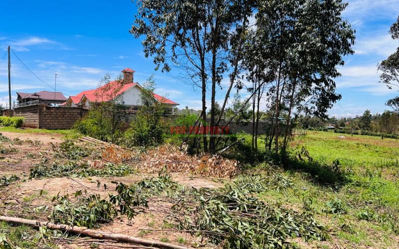 50 X 100fts Plots For Sale In Kikuyu, Gikambura.