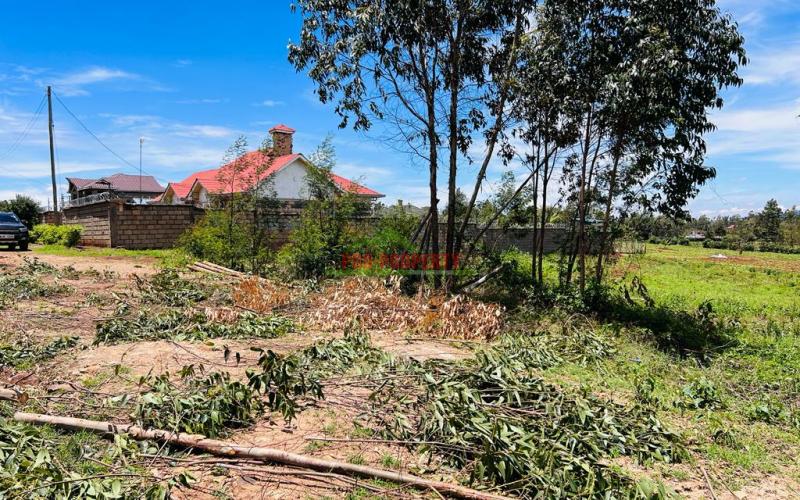 50 X 100fts Plots For Sale In Kikuyu, Gikambura.