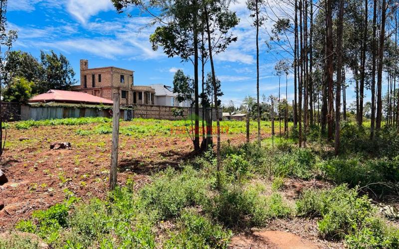 50 X 100fts Plots For Sale In Kikuyu, Gikambura.